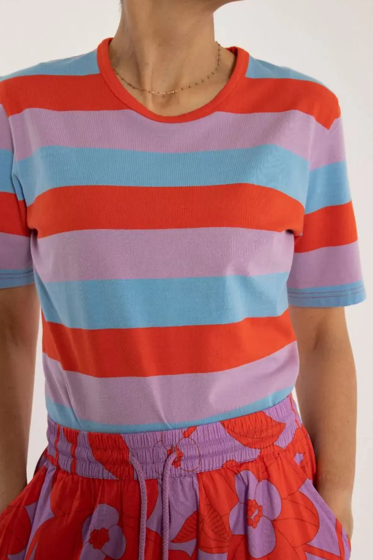 Danefæ T-Shirts>Danemy Tee Flyaway