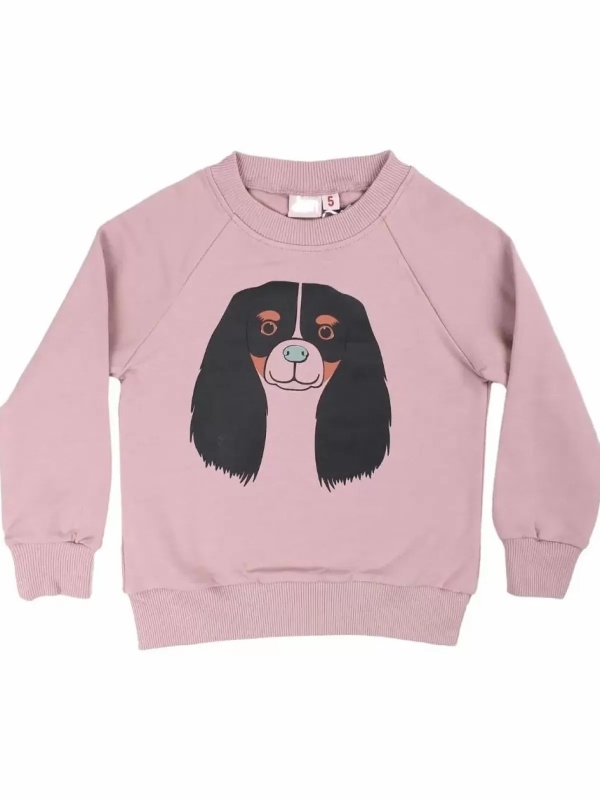 Best Dyrbellow Sweat Vintage Rose Cavalier Kinder Sweatshirts