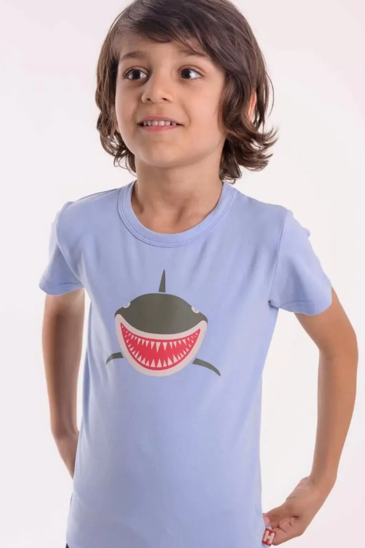 Store Dyrgrowl T Pastel Blue Haj Kinder T-Shirts