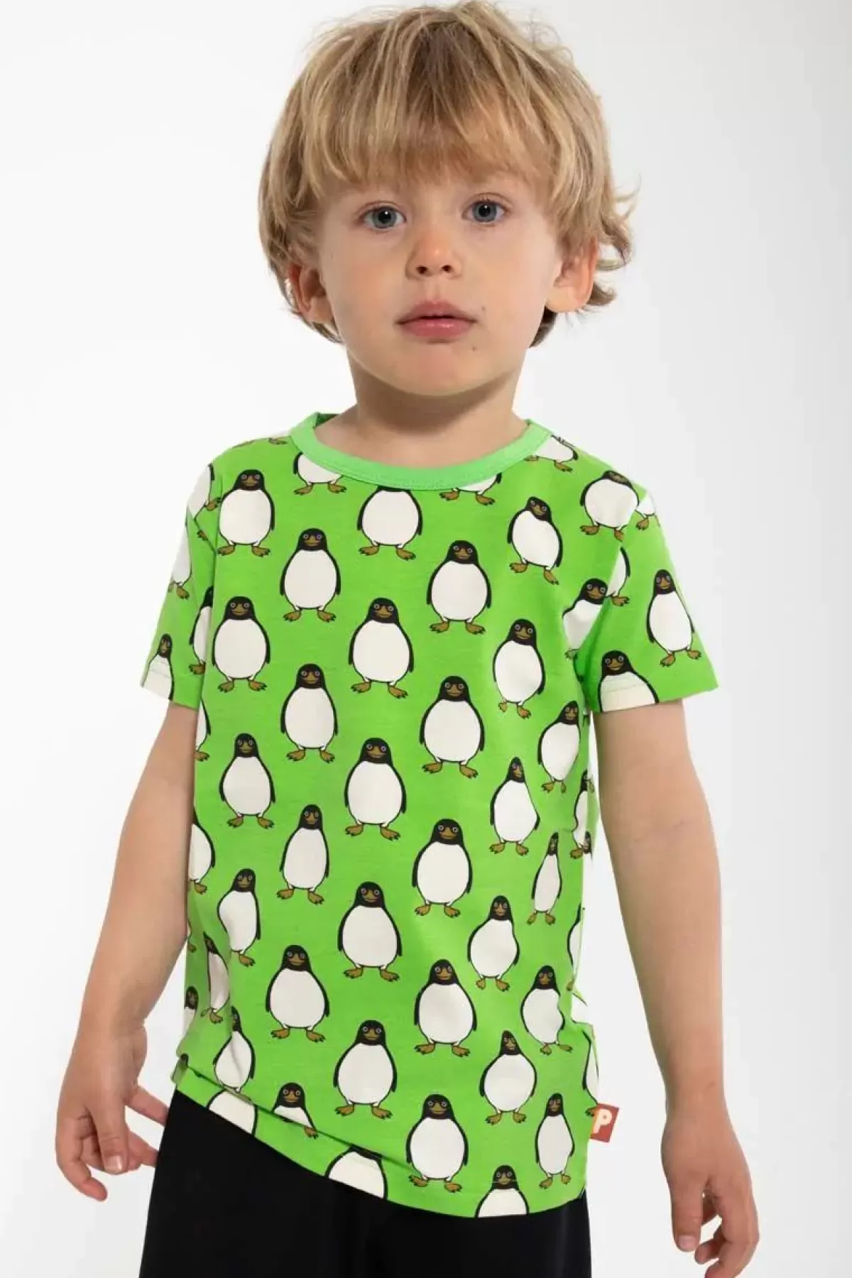 Hot Dyrgrowl Tee Aop/Strib Bright Green Pingviner Kinder T-Shirts
